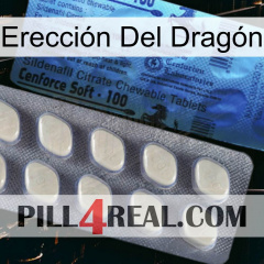 Erección Del Dragón 34